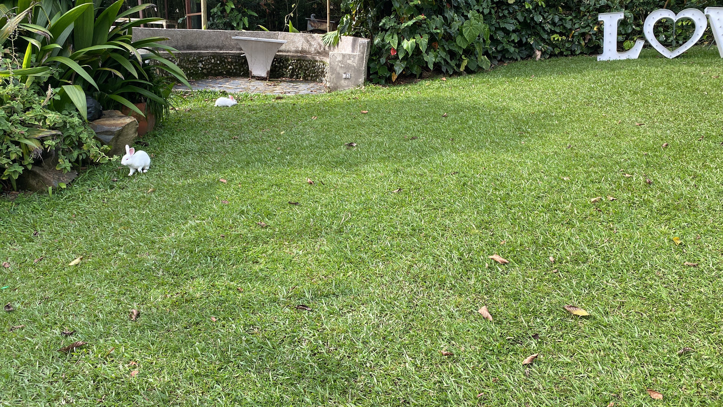 GREENLANDBASE COLOMBIA - GARDENING EDUCATION & CABIN STAY, very secure location, per Person/3 days, extra person +6€/per night
