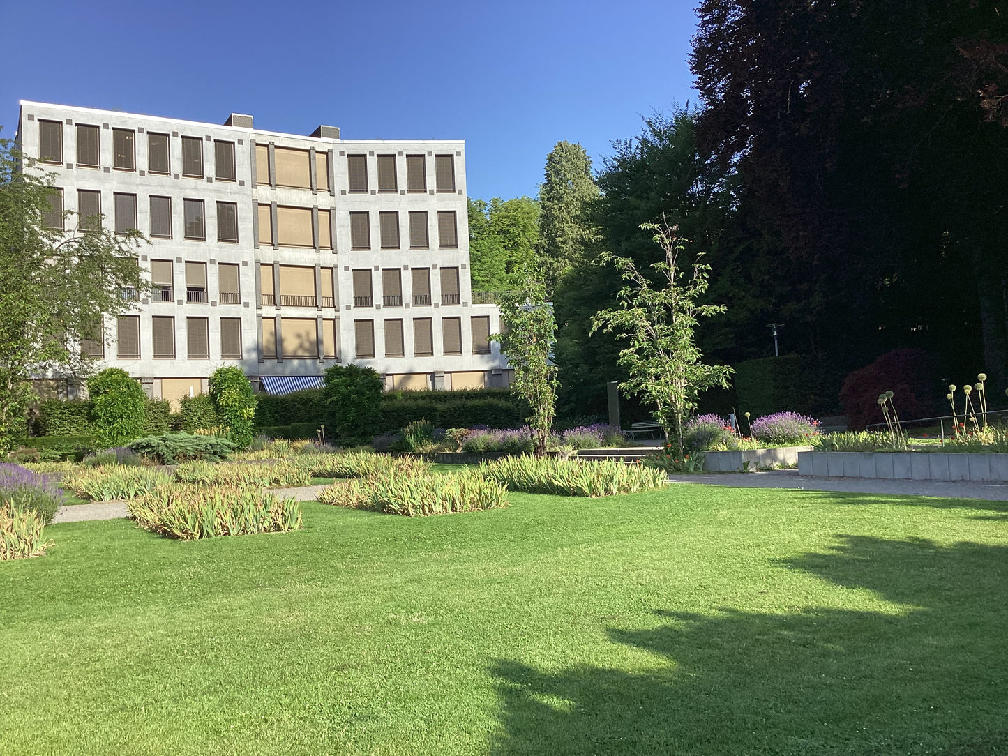 Support the World Peace Forum actively