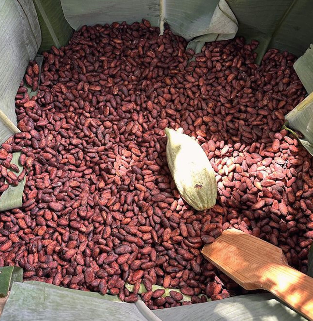 Double Pack - Antioquia Organic Cacao and Fermented Coffee. * Price including flight cargo delivery.