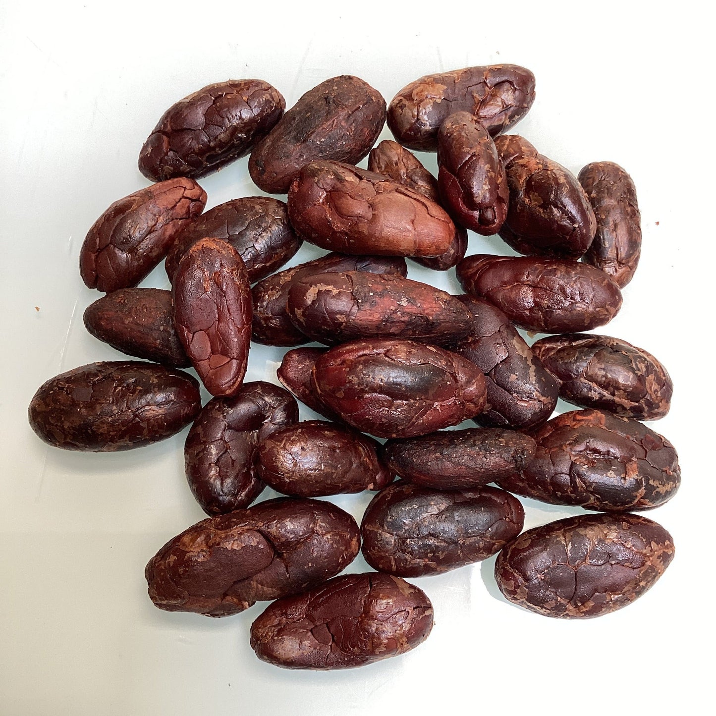 Antioquia Organic Cacao - Colombia - Farm fresh. *Price including cargo delivery.