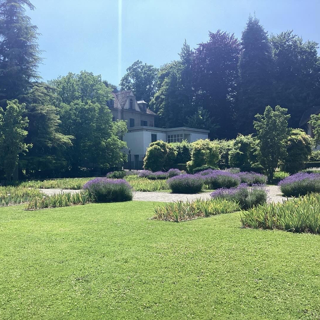 Support the World Peace Forum actively