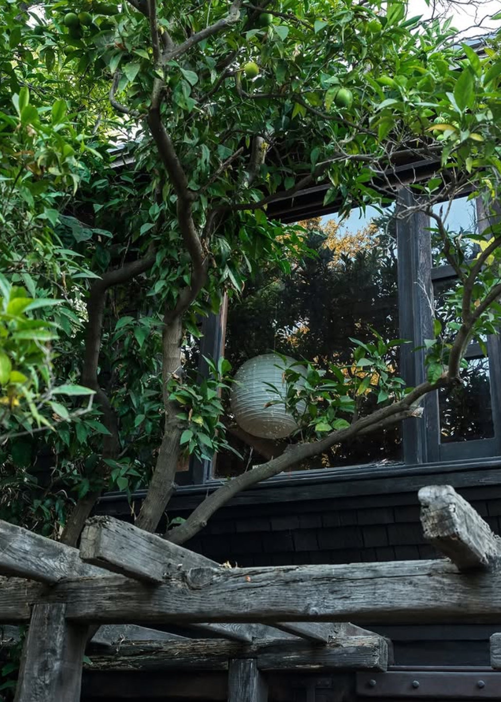 JAPANESE STYLE CABIN (Colombia, Antioquia Region).