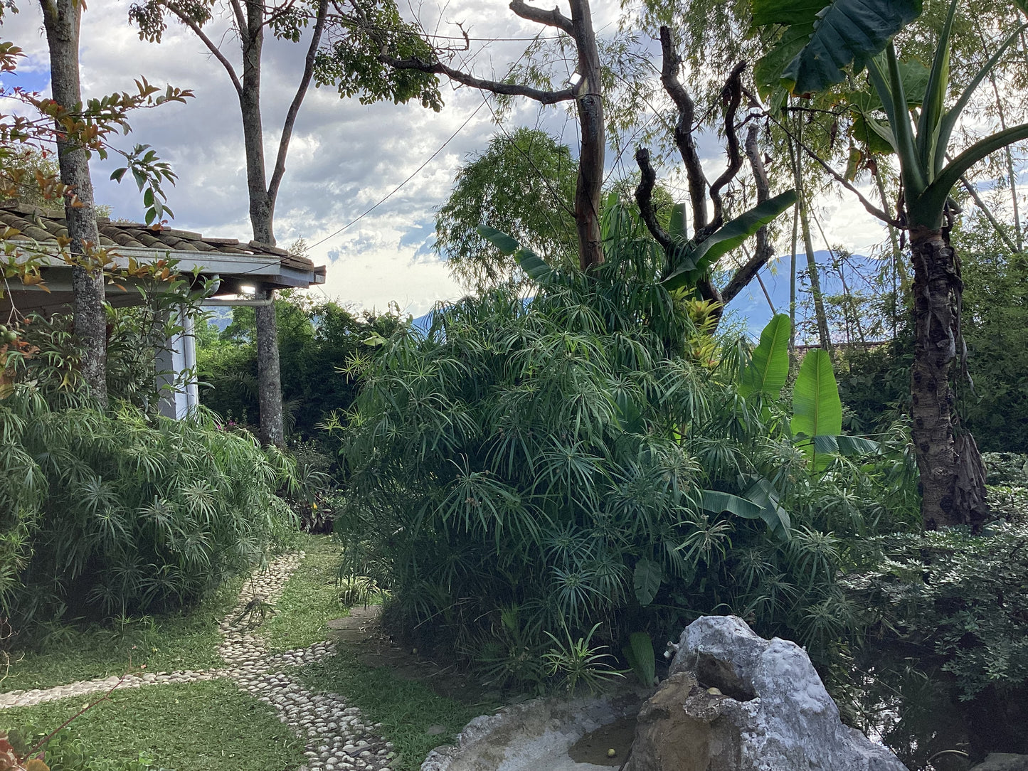 GREENLANDBASE COLOMBIA - GARDENING EDUCATION & COZY CABIN STAY, in very secure location, per Person/ 3 days (extra person +6 EUR/ per night)