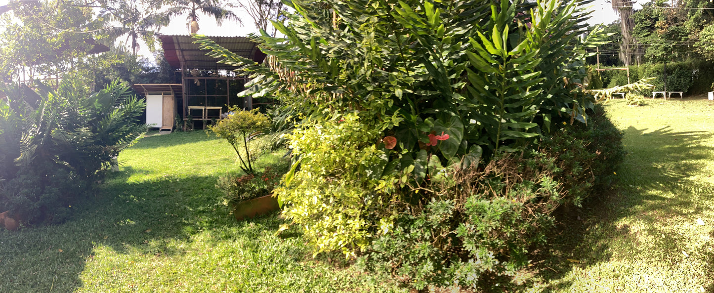 GREENLANDBASE COLOMBIA - GARDENING EDUCATION & COZY CABIN STAY, in very secure location, per Person/ 3 days (extra person +6 EUR/ per night)