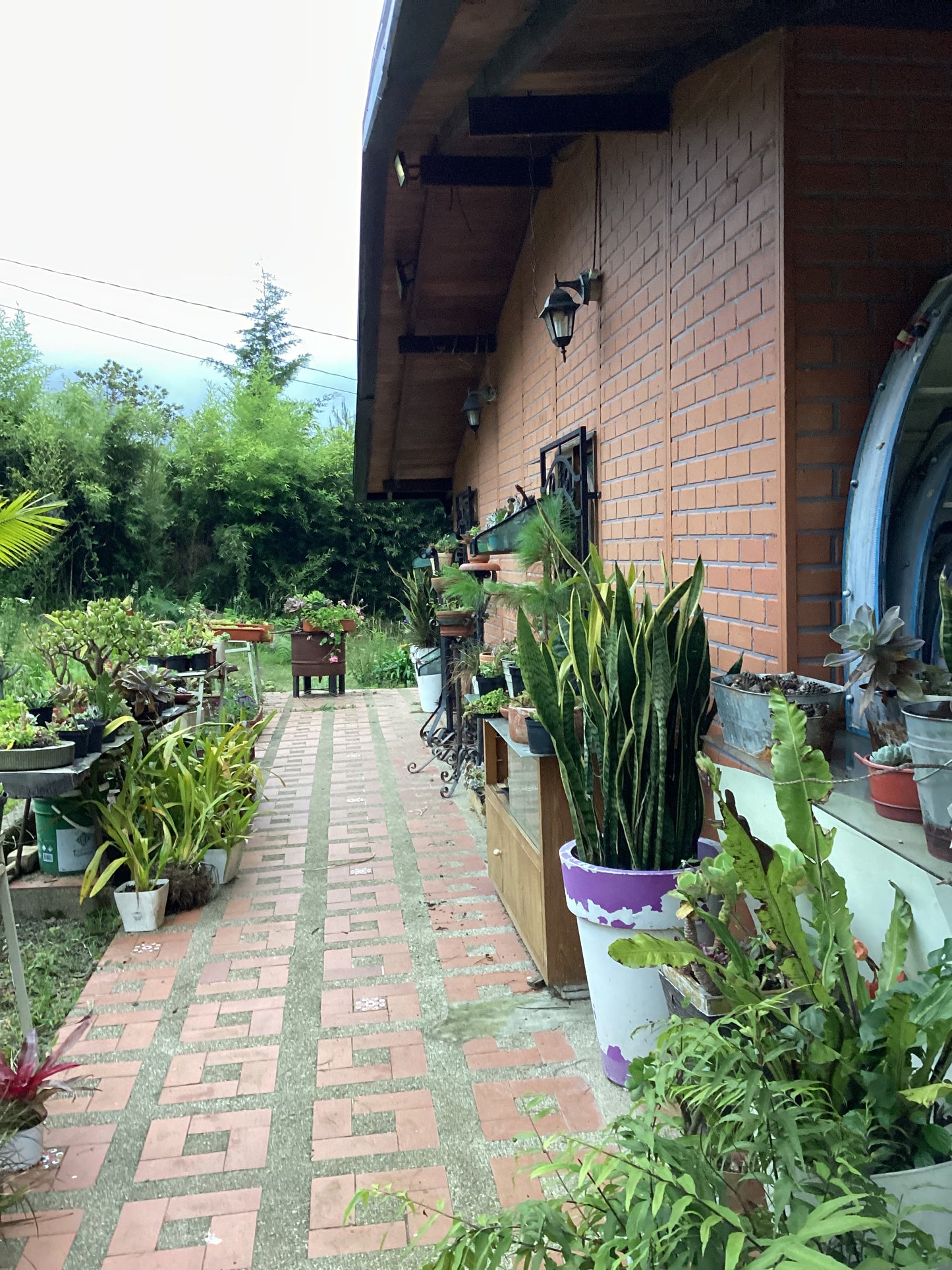 WEEK AT COLOMBIAN FARM & GARDENING