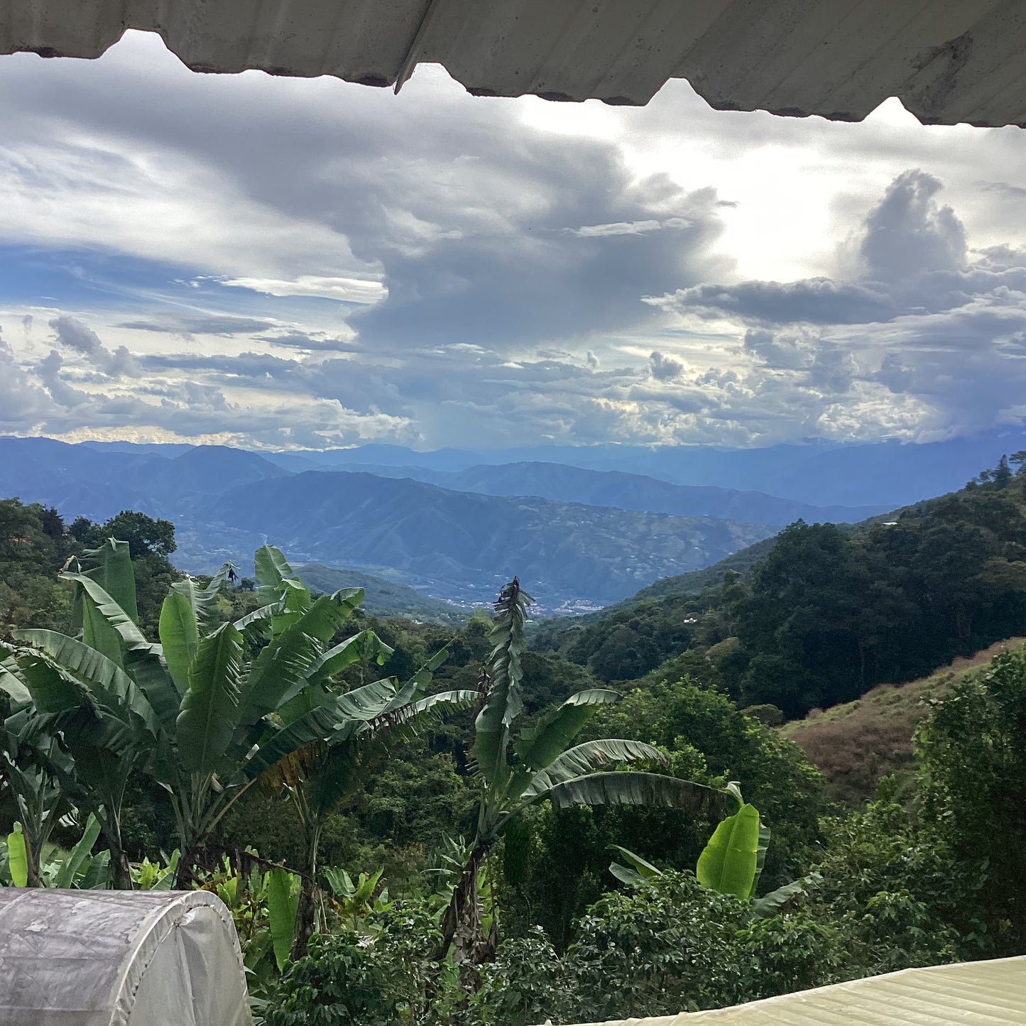 COFFEE FARM WORK & STAY IN COLOMBIA (in beautiful San Jeronimo, starts at 12€/per person per day-night)