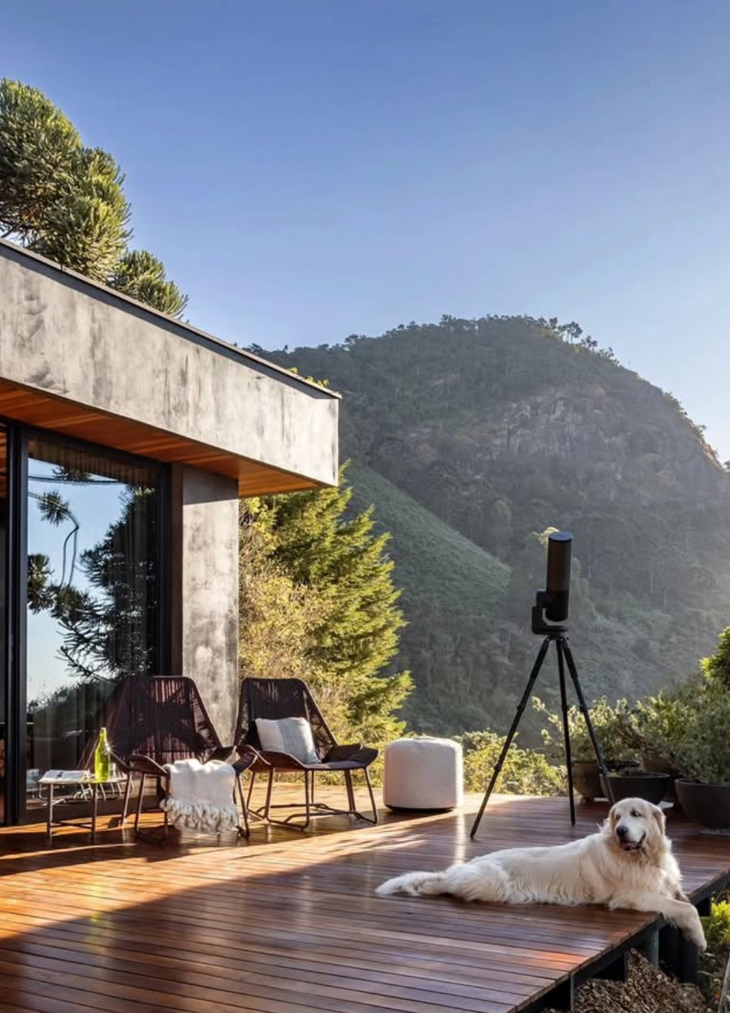 DESIGN HAUS - House design | price on request from 03/2025