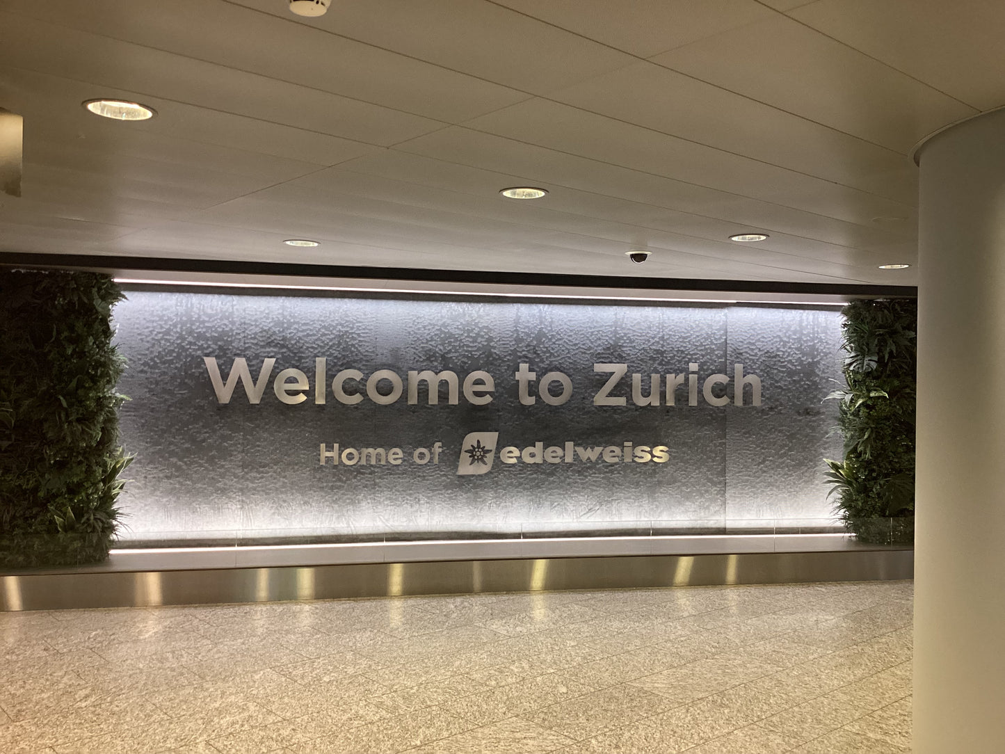 Support the World Peace Forum actively