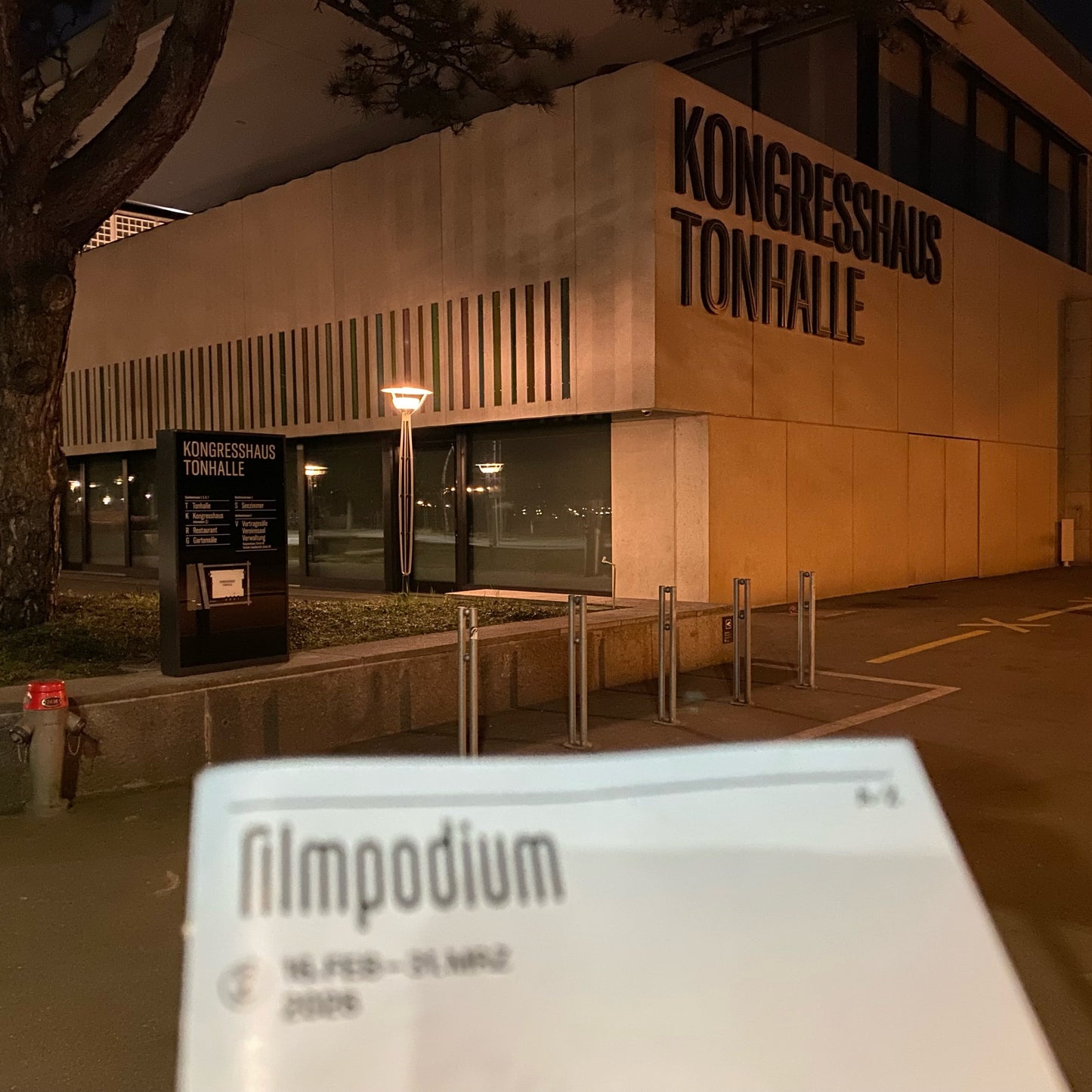 Support the World Peace Forum actively