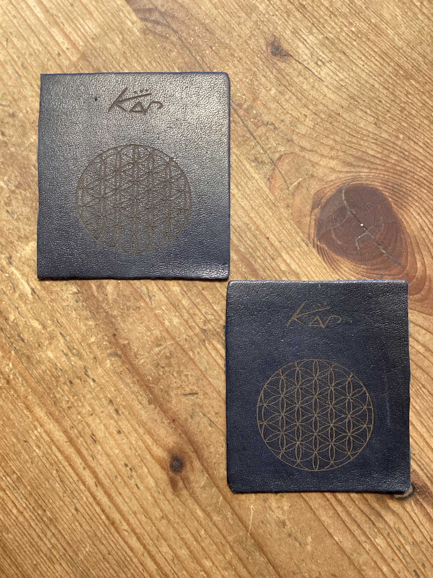 1-year club VIP membership & badge